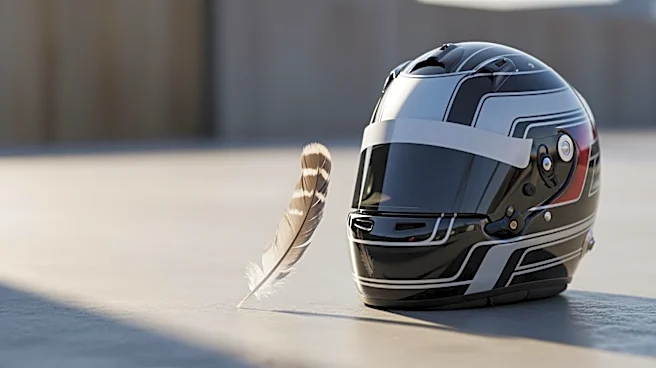 Romain Grosjean Criticized by PETA for Comments on Bird Strike During Indy 500 Testing