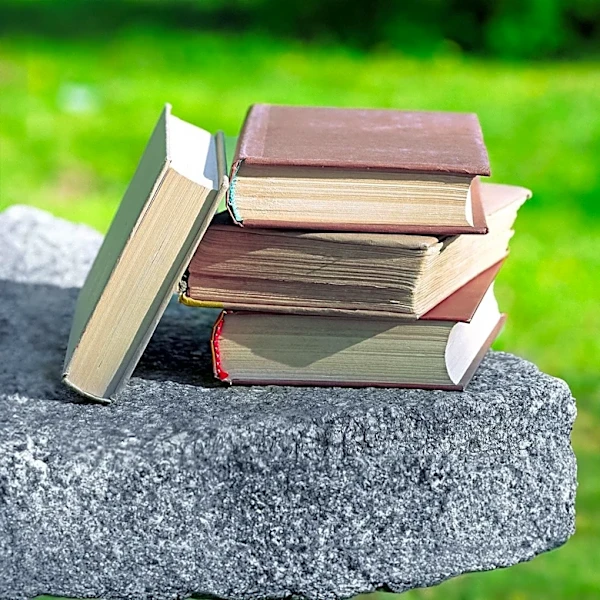 Charles Montgomery Releases Self-Help Book on Anger Management for Adults