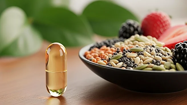 Chewable Creatine and Nutrient-Dense Foods Lead Food Innovation Trends