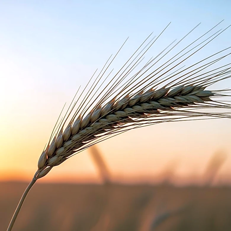 Kenny Fahey Advocates for Verified Confidence in Agricultural Investing