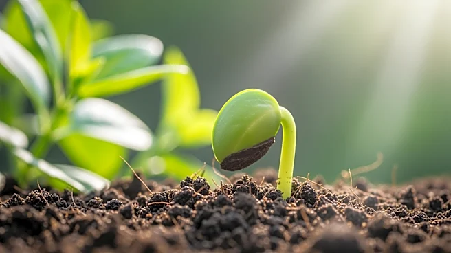 Sprout Pharmaceuticals Recognized as Influential in Health and Life Sciences by TIME