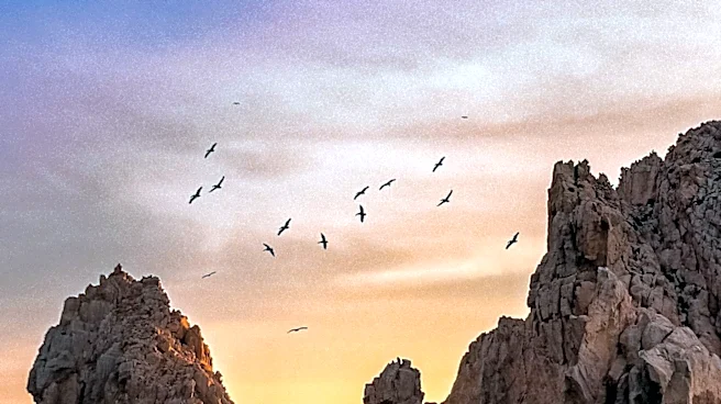 Exploring Baja California Sur: Top Airbnb Destinations for Travelers