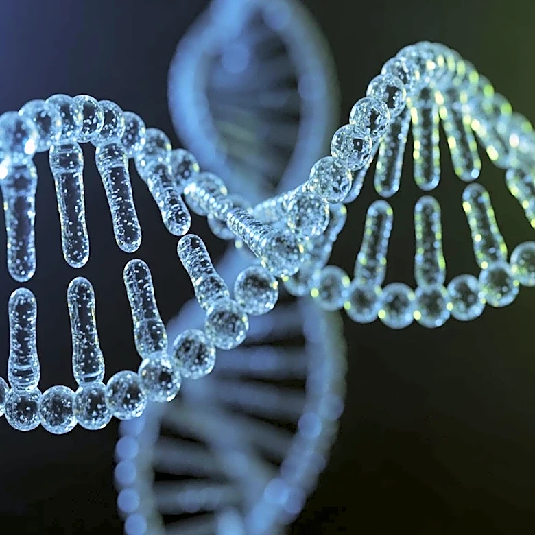 Ansa Biotechnologies to Present DNA Synthesis Innovations at SynBioBeta 2026 Conference