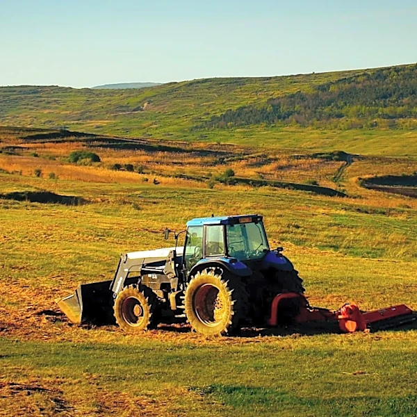 Consumer Reports Conducts Extensive Testing on Lawn Mowers and Tractors for Spring Season