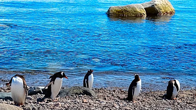 Heritage Expeditions Announces Return to Antarctic Peninsula with New Voyage