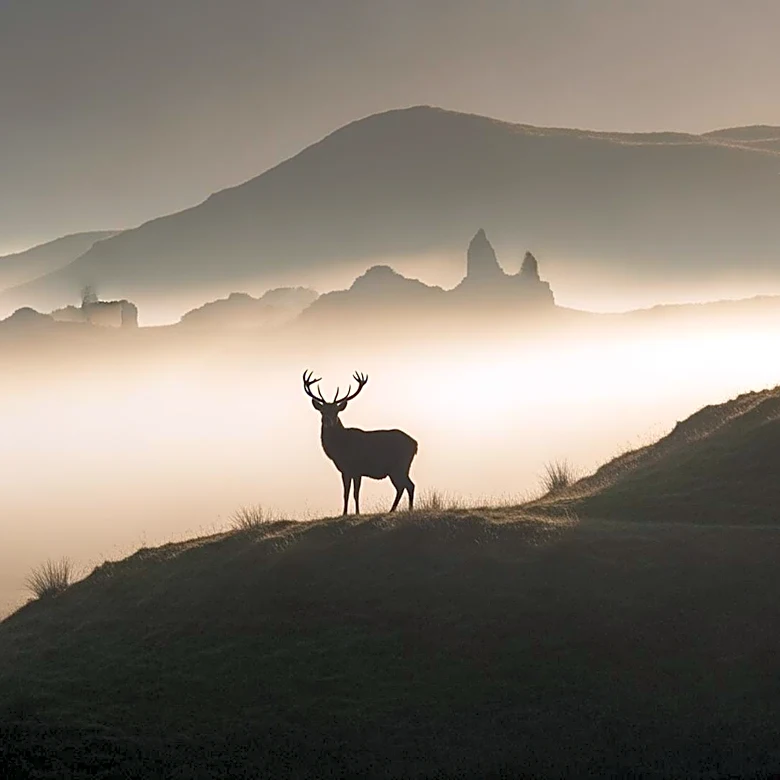 PBS Masterpiece and Channel 5 to Reboot 'Monarch of the Glen' for a New Generation