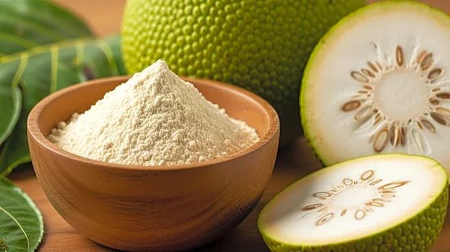 Amasar Introduces Breadfruit Flour to U.S. Kitchens, Promoting Sustainability and Versatility