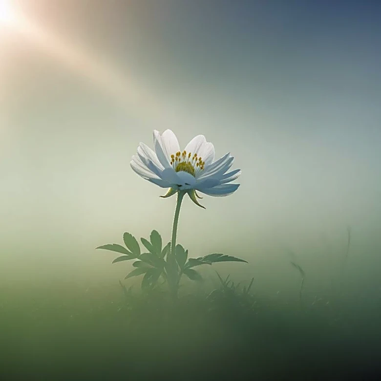 Spring Health Recognized by TIME for Influential Impact in Mental Health Industry