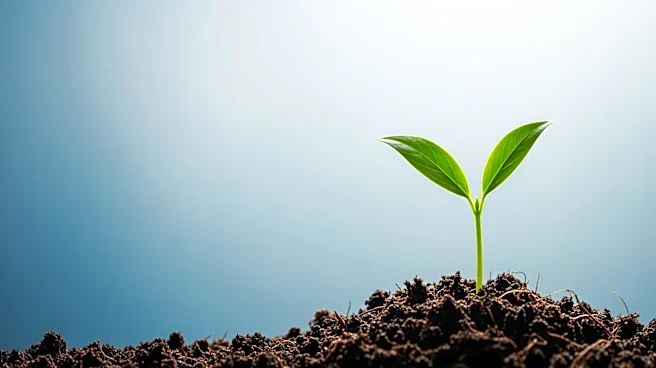 Sprout Pharmaceuticals Recognized by TIME for Influential Role in Health and Life Sciences