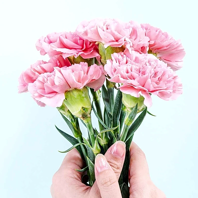 Top Floral Delivery Services for Mother's Day 2026 Highlighted