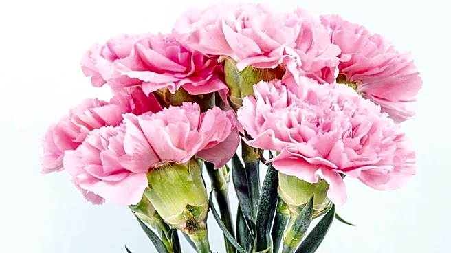 Top Floral Delivery Services for Mother's Day 2026 Highlighted