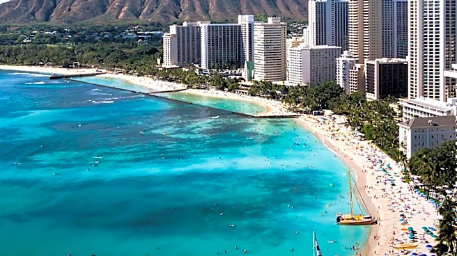 Honolulu Celebrates Manu-o-Kū Festival to Honor City Bird