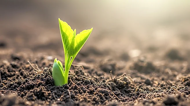 Nestlé Reports Q1 Growth Amid Fragile Recovery
