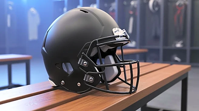 Diego Pavia Joins Ravens: Challenges of Transitioning to NFL