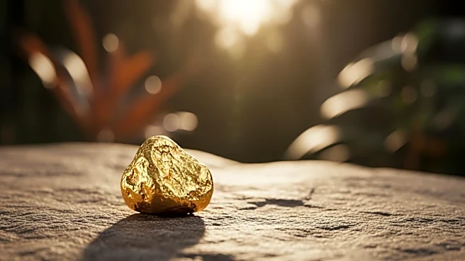 Dalaroo Metals Plans Gold Drilling in Côte d'Ivoire Amid Expanding Global Operations