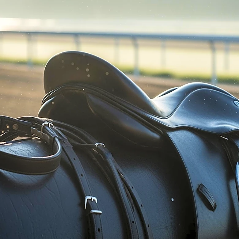 Emerging Market Emerges as a Contender in the Kentucky Derby Amidst Uncertainty