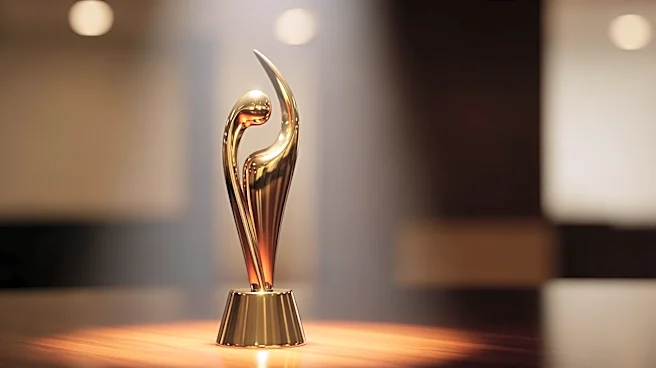 Lufthansa Locates Missing Oscar Statuette for 'Mr. Nobody Against Putin' Director