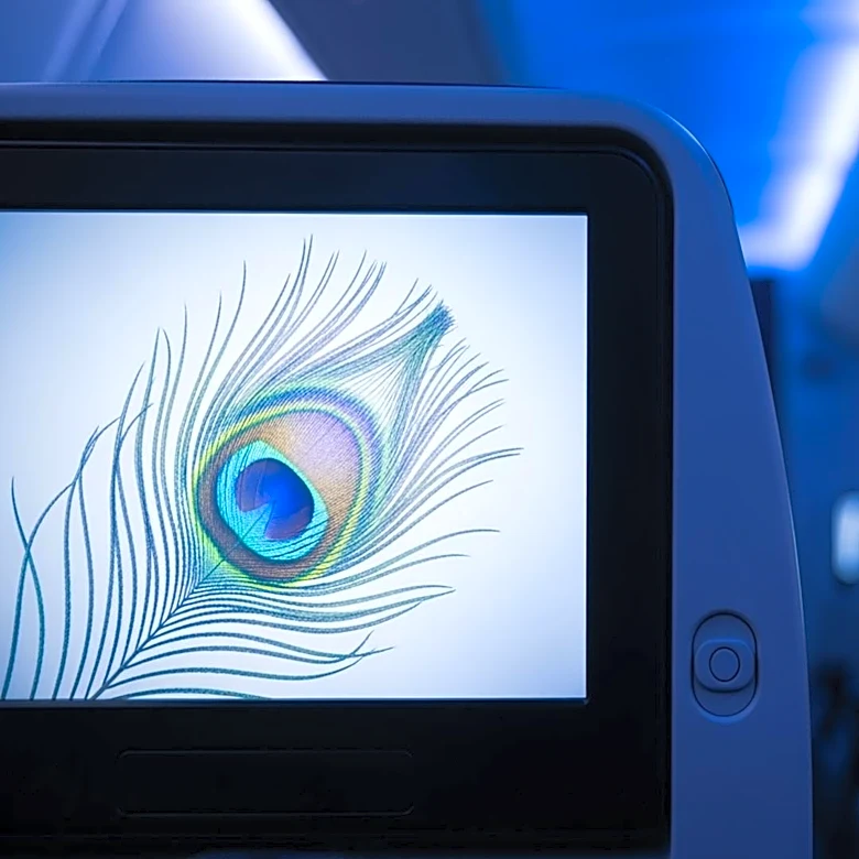United Airlines Adds Peacock Streaming to In-Flight Entertainment Options
