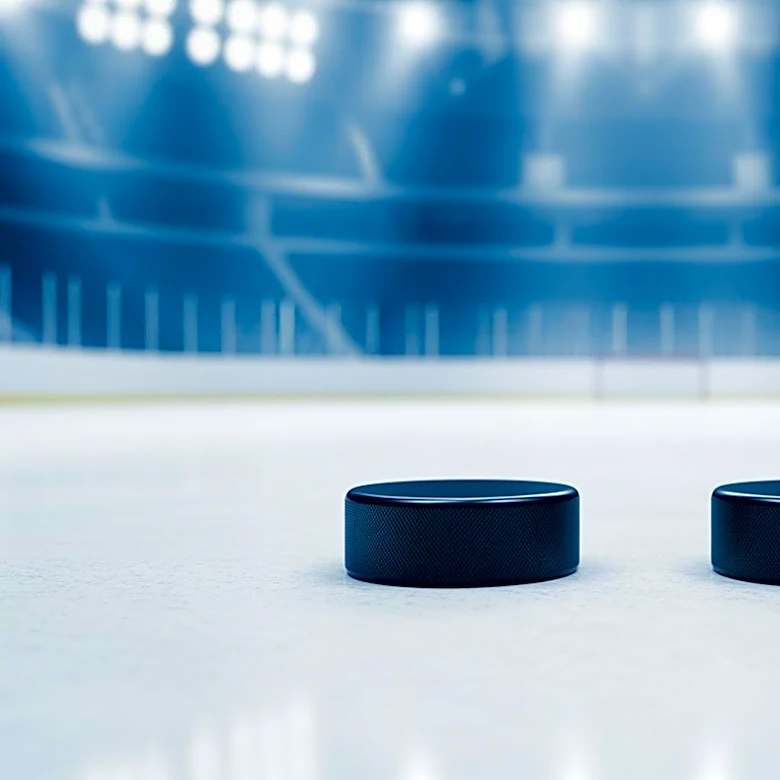 Minnesota Wild and Anaheim Ducks Advance in NHL Playoffs