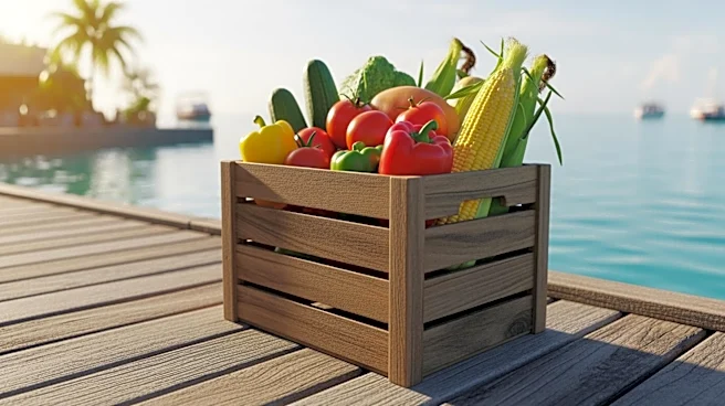 U.S. Agriculture Eyes Increased Exports to Cuba Amid Private Sector Growth