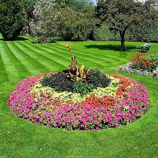 CNET Highlights Common Lawn-Mowing Mistakes Impacting Grass Health