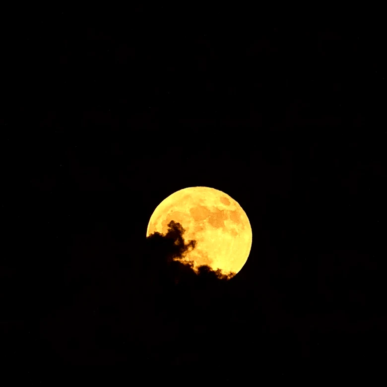 Tallahassee Astronomical Society Hosts Events for Flower Moon and May Skies