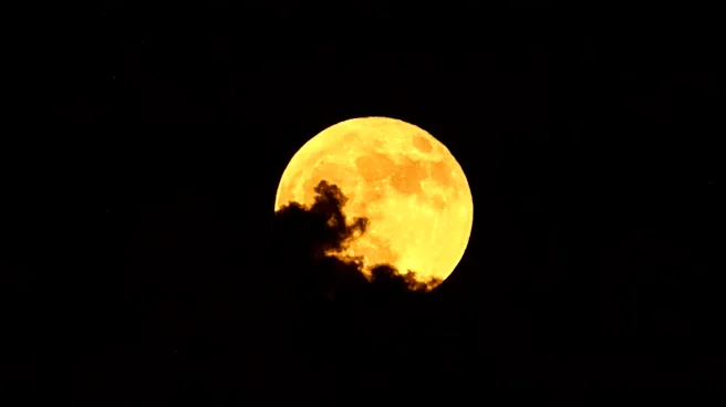 Tallahassee Astronomical Society Hosts Events for Flower Moon and May Skies
