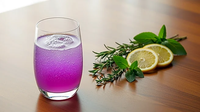 Beverage Brands Innovate with Non-Alcoholic and Functional Drinks to Meet Consumer Demand