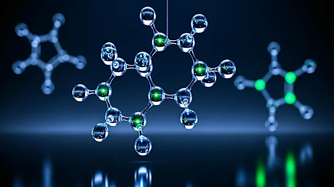 Molecular Partners AG Reports Positive Phase 1 Results for MP0317, Initiates Phase 2 Trial in Cholangiocarcinoma