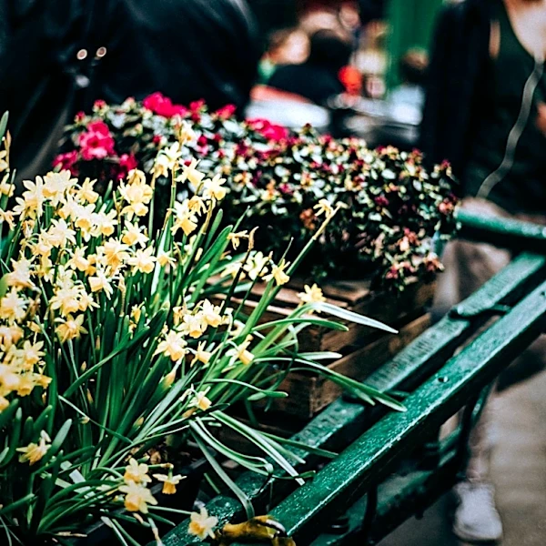 Baltimore's Flower Mart Returns with Expanded Vendor Participation