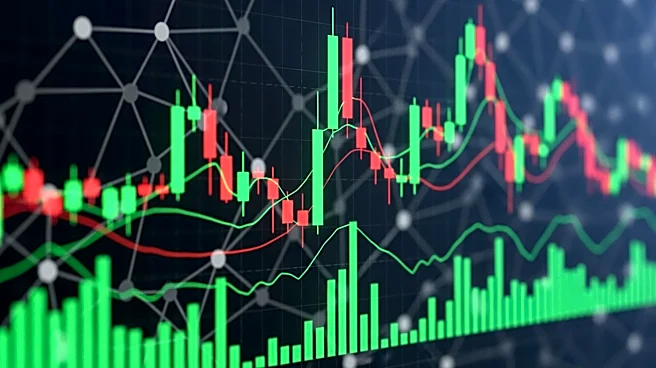 WallStreetBets Moderator Discusses Community's Impact on Trading Strategies