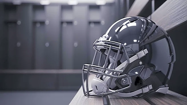 Steelers' Undrafted Free Agent Lake McRee Eyes Roster Spot