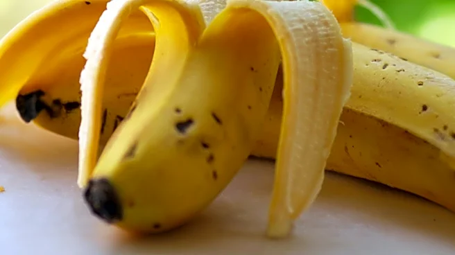 Dietitians Explain How Banana Ripeness Affects Nutritional Benefits