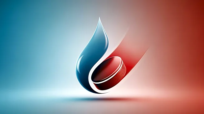 Hydro-Québec Alters Logo to Support Montreal Canadiens in Playoff Series
