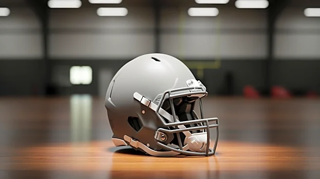 Haynes King Joins Carolina Panthers as Developmental Quarterback