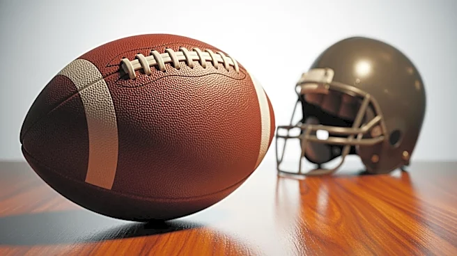 Raiders Rookie Fernando Mendoza Adjusts to Playing Under Center in NFL
