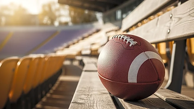 LSU Tigers Face Challenges Replacing Key NFL Draft Departures