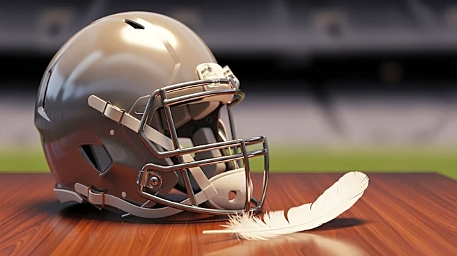 NFL Advisor Sam Rapoport Advocates for Women's Inclusion in Football