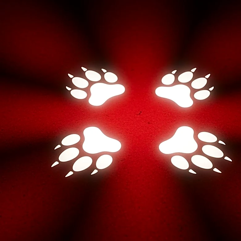 NC State Wolfpack Secures Four Commitments for 2027 Recruiting Class