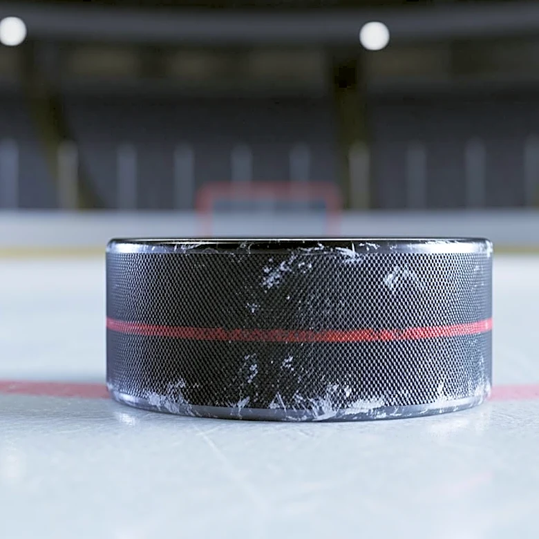 Ottawa Senators' Ridly Greig Suspended for Two Games Following Roughing Incident