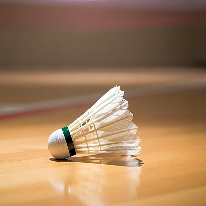 St. Paul High School Excels in Girls Badminton
