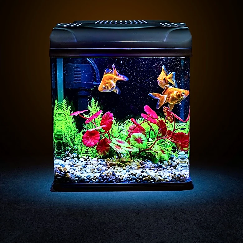 YouTuber Creates Unique Desktop Aquarium Under Monitors