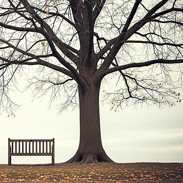 Elizabeth Strout's New Novel Explores Loneliness and Division in America
