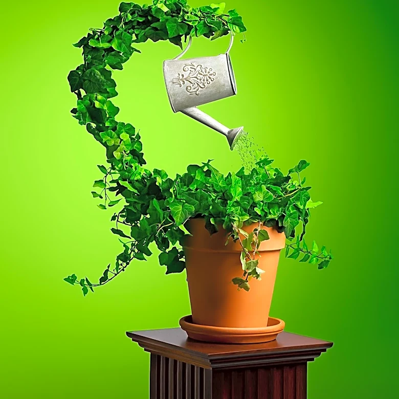 GrowOya Pot Offers Innovative Solution for Plant Watering