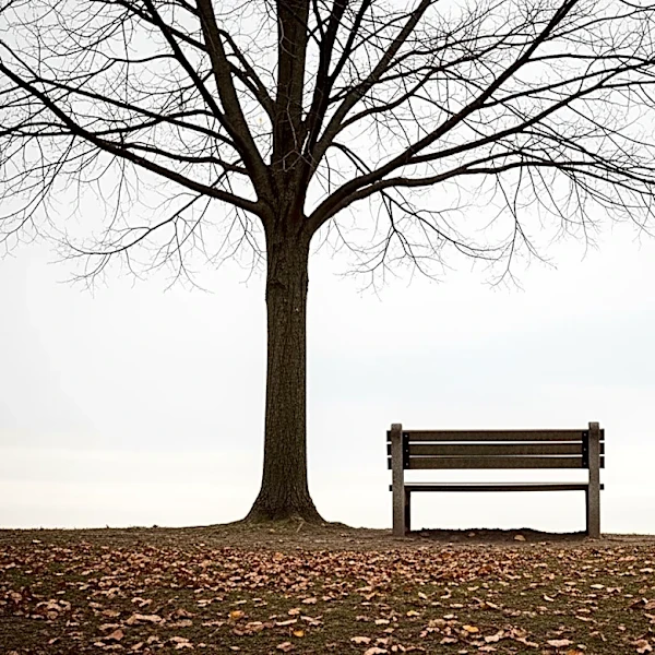 Elizabeth Strout's New Novel Explores Loneliness in a Divided America