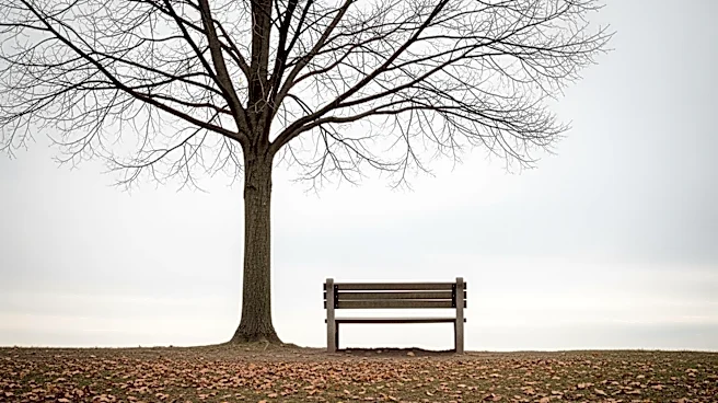 Elizabeth Strout's New Novel Explores Loneliness in a Divided America