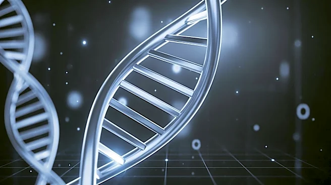 Giyani Metals Reports Positive Results from Phase 2 of Digital DNA Program