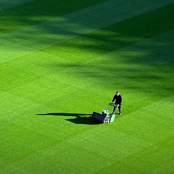 Airseekers Tron SE Robot Mowers Revolutionize Lawn Care