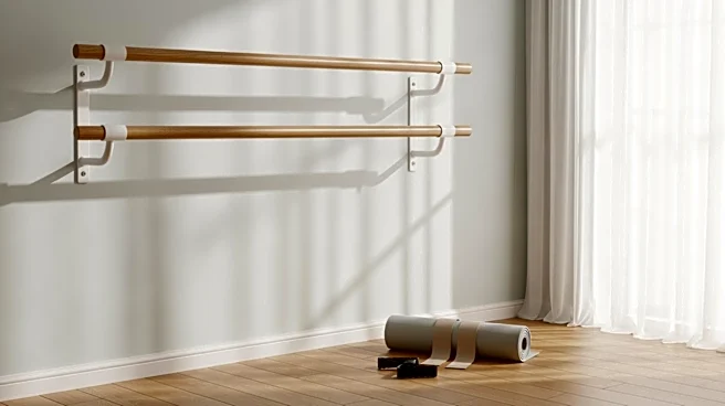 Hayden Panettiere Utilizes Barre Workouts for Recovery from Injury