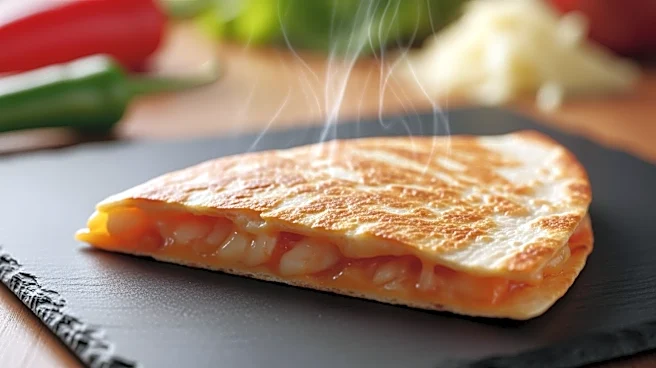 Lily's Toaster Grills Expands Frozen Foods Line with New Quesadillas